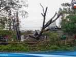 Puting Beliung Serang Bekasi Rusak Puluhan Rumah, Pohon Bertumbangan Hingga Tenda Pengungsi Banjir