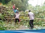 Polresta Bandung Polda Jabar Dan Warga Masyarakat Serta Petugas PLN Evakuasi Pohon Bambu Yang Tumbang Serta Menimpa Tiang Listrik Akibat Derasnya Hujan