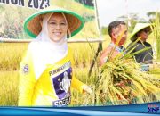 Purwakarta Siapkan Ribuan Hektar Sawah Untuk Produksi Beras Nutri Zinc Bagi Penderita Stunting