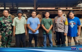 Muspika Kecamatan Purwasari saat meninjau Peternakan Domba milik Agus Raden@2024SINFONEWS.com