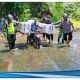 TNI Polri Menembus Jalan Terjal Demi Distribusikan Logistik Pemilu di Pedalaman Tasikmalaya